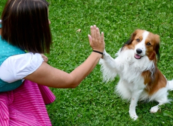 Pes bez vodítka - Víkendový seminář